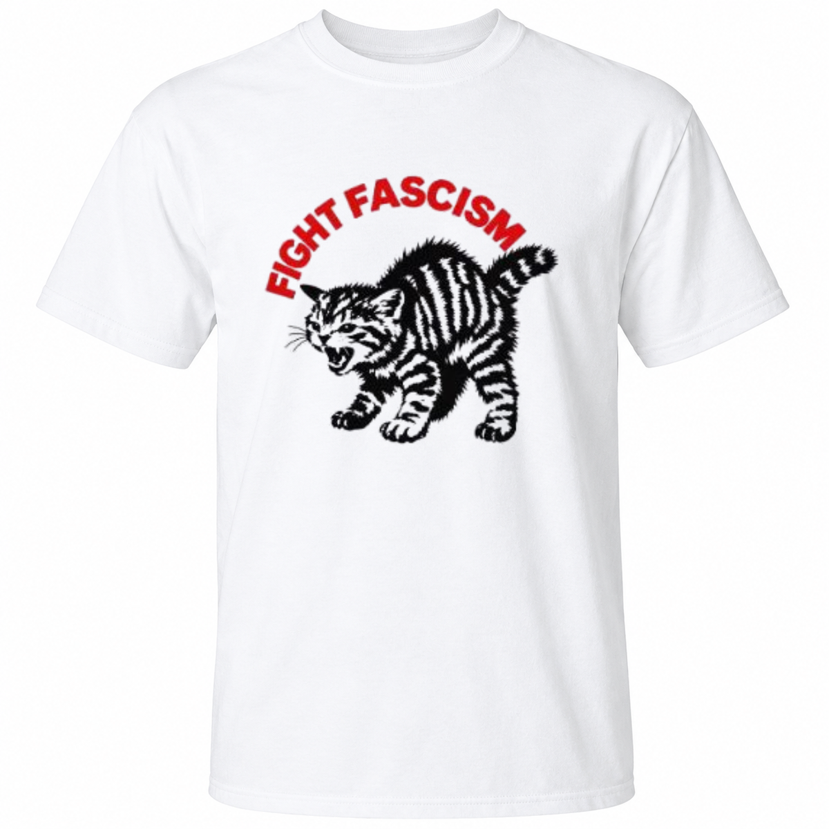 Fight Fascism Grumpy Cat Shirt